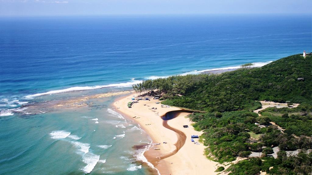 Forest and ocean go hand in hand at Sodwana Bay National Park along South Africa s relatively undeveloped eastern coast of the Indian Ocean.