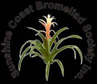 Sunshine Coast Bromeliad Society