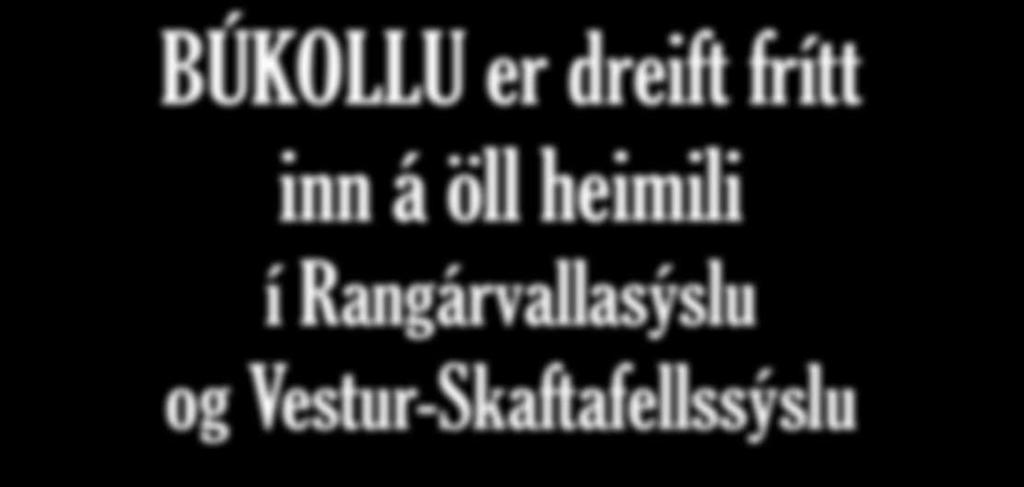 Húsaviðgerðir og viðhald Verktakaþjónusta - Utanaðkomandi lekavandamál - Parketog flísalagnir -