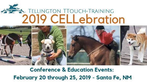 Featuring: February 20 Sure Foot Certification Workshop February 21/22 TTouch Advanced Training February 23/24 Conference & Banquet February 25 TTouch for You Location: Coordinator: Drury Plaza Hotel