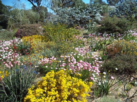 WEST AUSTRALIAN WILDFLOWERS AND NULLARBOR CROSSING 23 Days Departing 5 September 2018 DAY 1: Wed 05 Sep FLY TO PERTH (D) Arrive into Perth today (own expense) and meet your driver/guide and hostess