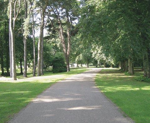 This page helps you find out more about Bute Park.