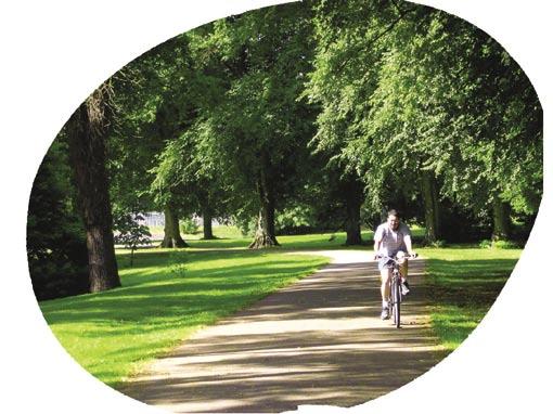 Nearby Bute Park is located in the very heart of the city centre so access is easy to a wide range of facilities including shopping centre, Millennium Stadium, restaurants/bars, theatre, cinemas and