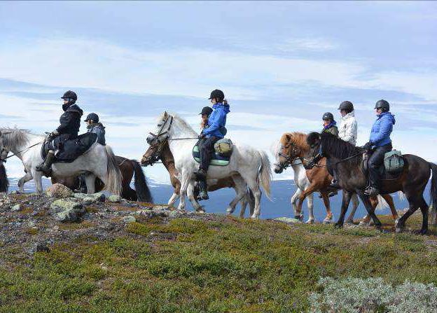 Tuesday 6th August After breakfast you will transfer to the horses at a point close to the farm. Start the ride through the forest and up into the mountains with fantastic views.