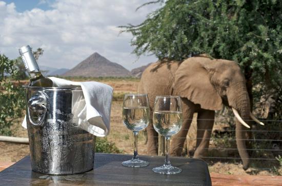 Arriving in time for lunch at Ashnil Samburu Lodge in the grassland area which forms the bridge between Kenya s lush south and perched North. Dinner and overnight at the lodge.