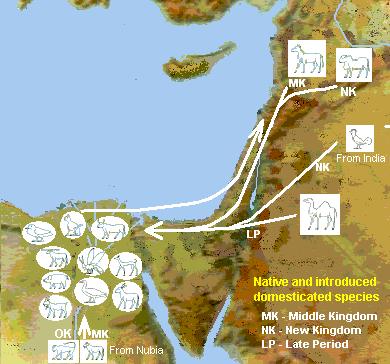 III. Egypt and Kush A. Trade in Ancient Egypt 1.