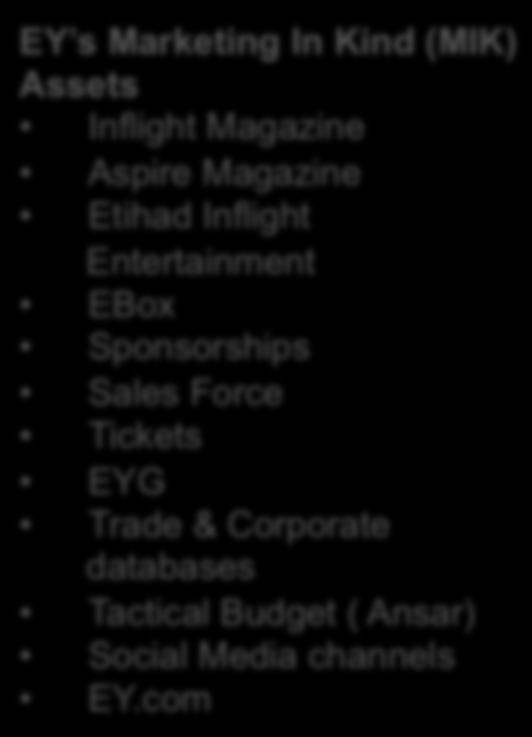 Corporate databases Tactical Budget ( Ansar) Social Media channels EY.
