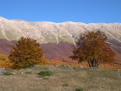 INTRODUCTION At just a short distance from Rome, the Abruzzo is one of the most interesting areas in Italy, featuring some amazing mountain scenery, not as famous as the Dolomites further north, but