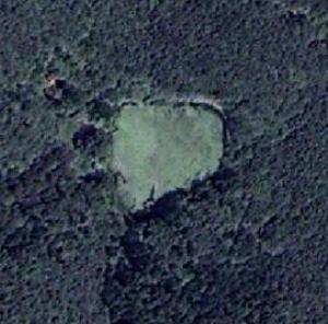 satellite image (top and