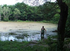Boyana Lake June 2005