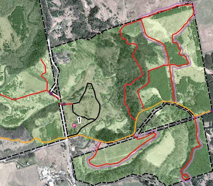 6.0 TRAIL DEVELOPMENT RECOMMENDATIONS AND ACTIONS 6.0 TRAIL DEVELOPMENT RECOMMENDATIONS AND ACTIONS Figure 9: NRMT Trail Hub Area Map Orthophoto: First Base Solutions Inc.