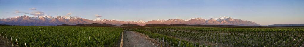 Mendoza This tour includes: -Flight Buenos Aires/Mendoza/Buenos Aires -02 Nigths- Hotel with breakfast -Ariport Tranfers Mendoza/Hotel/Airport Mendoza -Wineries tour Not Incluides: Lunch, Diners,