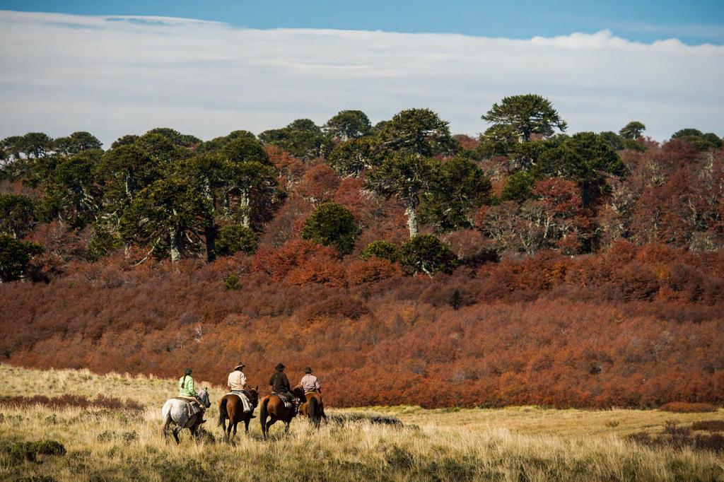 We ride on our private ranch through the mountains, crossing rivers and creeks and