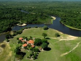 Day 4: 5 th November 2018 Pantanal (Barra Mansa Lodge) Enjoy breakfast at 07:00 and afterward depart on a full day of activities.