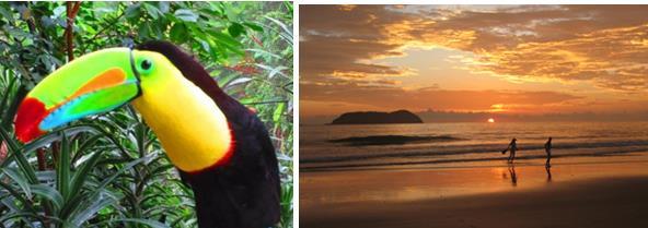 Discover Creation Costa Rica Adventure Tour March 23 April 1, 2019 NOTE: These DATES are DIFFERENT than those listed in our initial brochure because of availability at some of our preferred