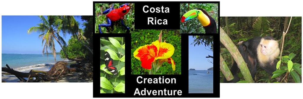 Not only will you see many popular sights that nobody would want to miss, but since we take a smaller transport bus, it allows you to be taken off the beaten track to experience the real Costa Rica