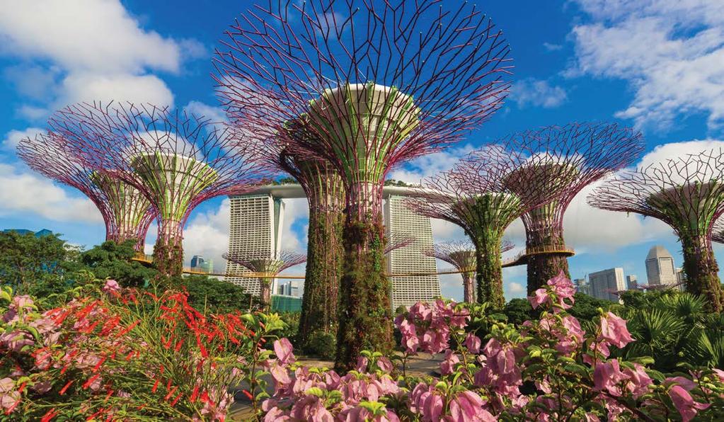 GARDENS BY THE BAY Bay South Garden Transforming 54 hectares of reclaimed land to create the new national icon and one of Singapore s leading attractions.