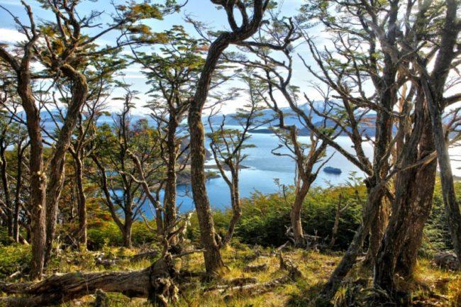 The Route of Charles Darwin Visit Patagonia and explore the old stomping grounds of world famous scientist Charles Darwin.