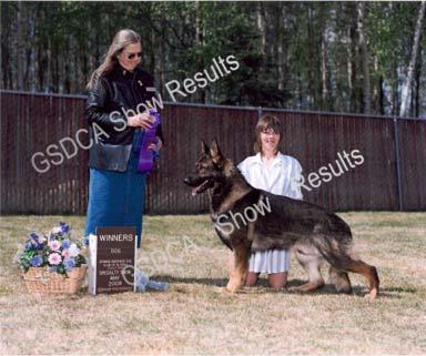 Bred By Exhibitor Dogs 13 1 st WD n/e Northern Denali s Shooting Star. DN12027812. 8/25/05. Breeder: Lois Ince & Mary Powers. By: Mary Don s Great Gunners Bullet Sondruds Alaska Willow.
