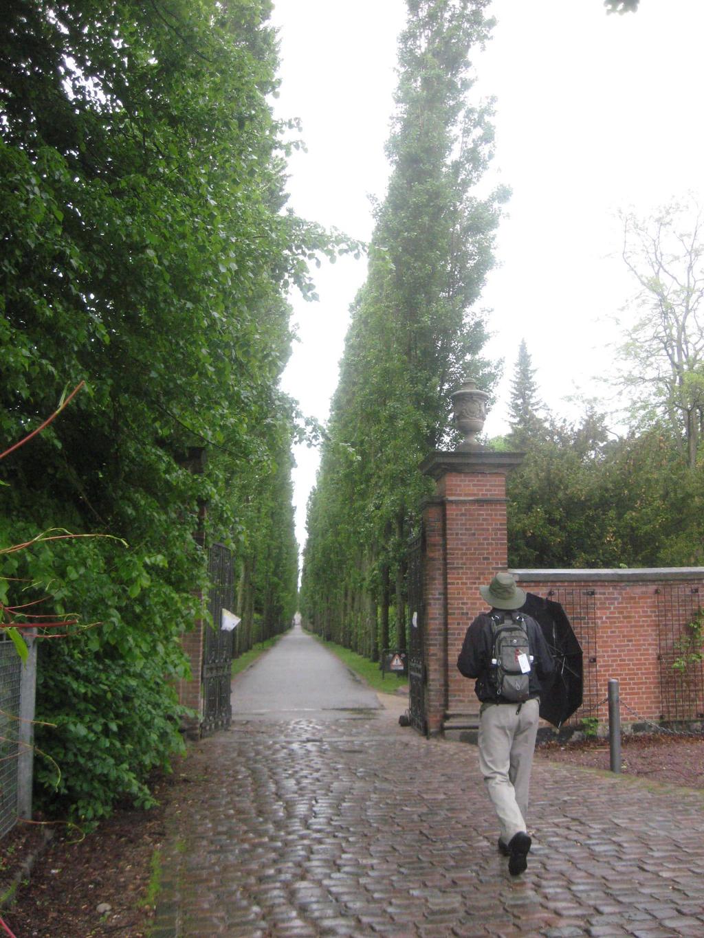 -by the time we reached Assistens Kierkegaard where he and many of Copenhagen