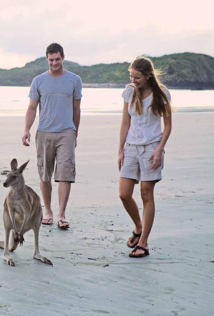 Mackay Region The Mackay region offers an abundance of natural attractions including national parks, gorges, the Great Barrier Reef, numerous islands and unspoilt beaches.