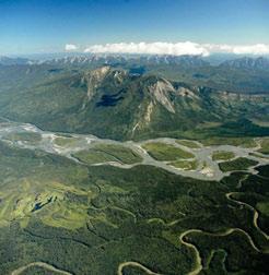 JPG The west-facing slopes of the Nahanni Range are steeply tilted massive Paleozoic limestone and dolomite plates, forested on the middle and lower slopes by extensive lodgepole pine and white