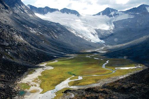 3.8 BOREAL CORDILLERA - MID-BOREAL (MB) ECOREGION Glaciers, jagged mountain ranges, and emerald-green alpine tundra are hallmarks of the Boreal Cordillera