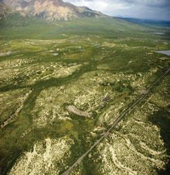 3.8.1 Natla Plateau MBas Ecoregion Extensive glaciofluvial deposits blanket gently undulating plateaus at the northern end of the Ecoregion.