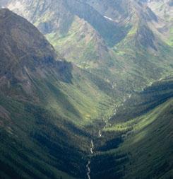 3.8.7 Logan Mountains MBas Ecoregion U-shaped valleys carved by glacial ice, limestone peaks (foreground, midground), small glaciers on granite peaks (distance), coniferous forests in valley bottoms,