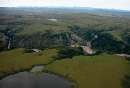 3.4 TUNDRA CORDILLERA HIGH SUBARCTIC (HS) ECOREGION Martin Creek cuts deeply into shale and sandstone plateaus east of the distant Richardson Range.