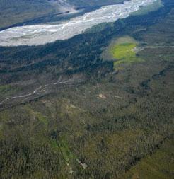 3.5.2 Shattered Range HSas Ecoregion Braided gravelly channels with spruce forests and willow shrublands and open spruce shrub moss woodlands on wet lower slopes receiving seepage are relatively