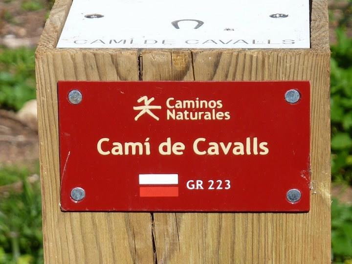 History Throughout the 20th century, the Camí de Cavalls suffered a notable deterioration mainly due to its lack of maintenance and the disuse of some of its sections.