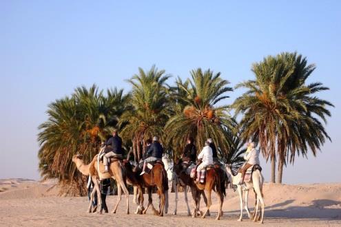 Then, cross the dry salt lake of Chott El Jerid and arrive in Douz where you can go on an optional camel ride or quad biking at your own