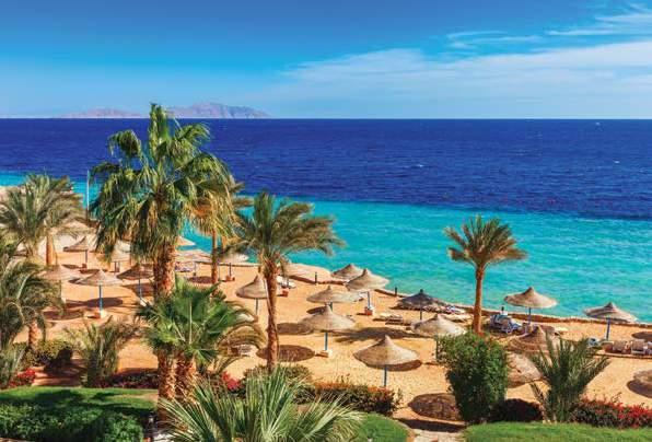 Sharm El Sheikh Egyptian Endeavour 11 Days CAIRO Sharm El Sheikh Luxor Esna Kom Ombo Departs: Daily Note: This program may be available daily using different cruises which may affect the cost and