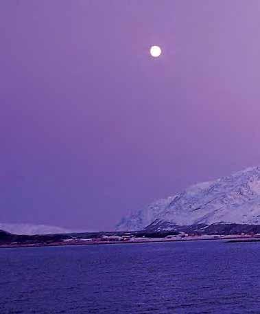 What makes the Classic Cruise South a favorite among seasoned Hurtigruten travelers is the opportunity
