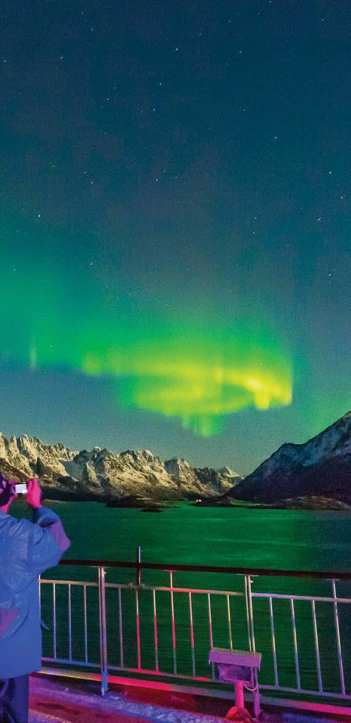 Northern Norway is one of the best and most reliable places in the world to see the glorious northern lights, the incredible light show for which the polar night is so famous.