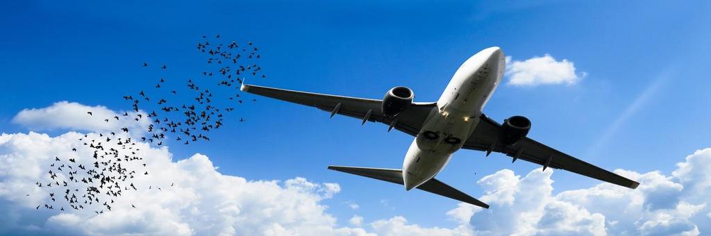 In case of an strict liability of airport operator for damage caused by a bird strike, it is exclusively upon the Carrier to prove cause-and-effect