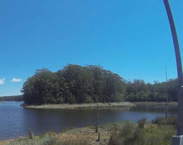 Picnics and Playgrounds Picnicking and BBQs Visitors can enjoy the serenity and scenery while picnicking at Cooloolabin Dam. There is a small picnic area located at the lake off Cooloolabin.