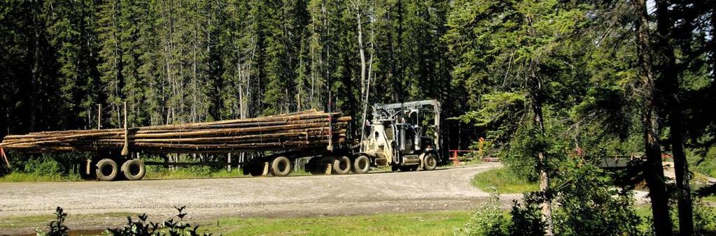 Forestry, which is Alberta s third-largest industry sector, is a key contributor to the regional economies.