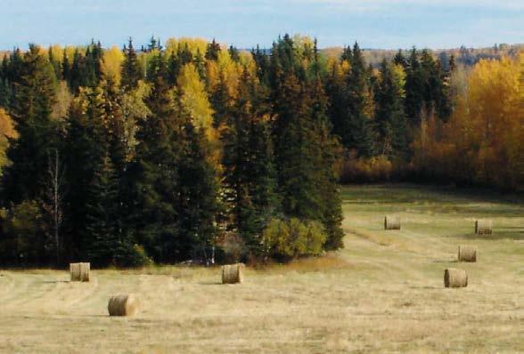 of Greenview boasts a spectacular diversity in economic activities and an extraordinary range of landscape, making it very unique. Approximately 250 kilometres northwest of Edmonton, the M.D.