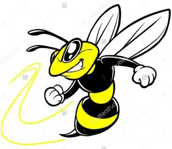 Wasp Treatment Mobile: 07833 558 773 Email: andy.