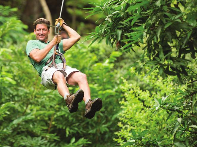 Learn about all the flora and fauna surrounding you and the rich culture of the region as you fly across nearly a dozen thrilling zip lines, including one almost 900 feet long.