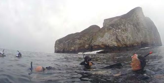 We travelled to Playa Loberia, named after the sea lions (lobos). We took our first series of photos with the GoPro cameras and enjoyed the land and marine wildlife.