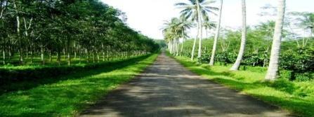 Banyuwangi Sightseeing Tour: Banyuwangi is located at the end of the line of Java, a pleasant enough small town.