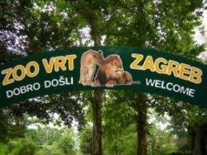 Park Zoo