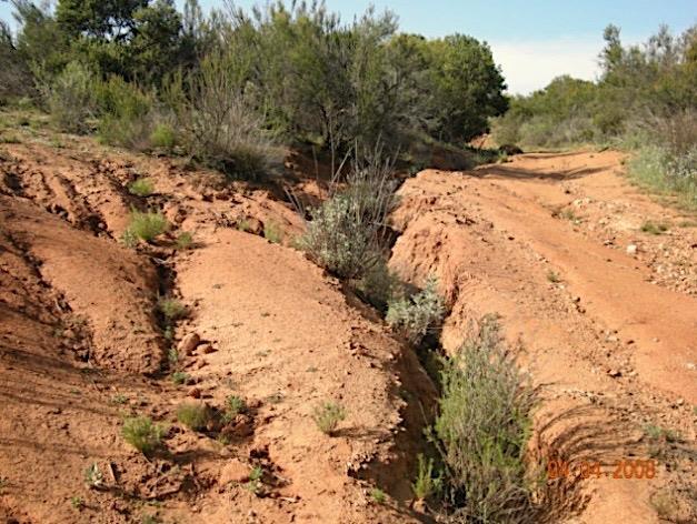 Because the trail tread can be reduced for trails that are in remote locations or are located near sensitive environments, specific site conditions will regulate the turn-out design and placement