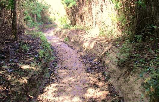 Flat Terrain Trail: Flat topography appeals to many trail builders with the initial ease of trail construction.