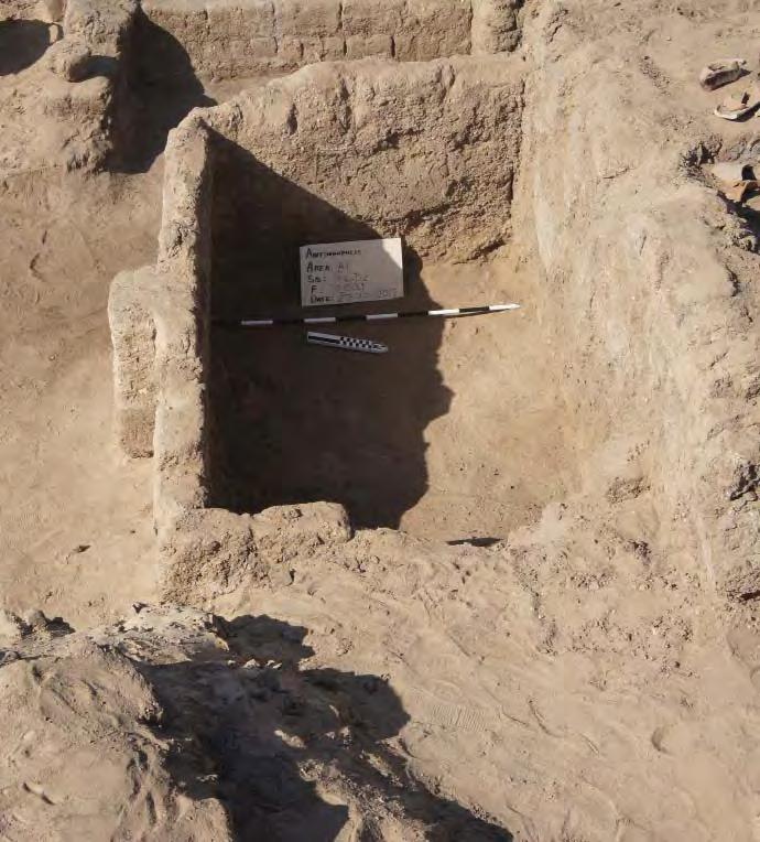 Often the villagers intentionally damage the site while archaeological work is taking place.