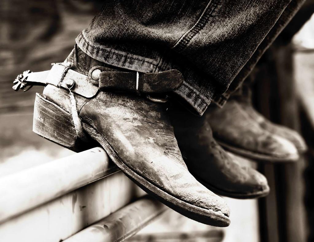 BRAND PROFILE Boot Barn is the nation s leading lifestyle retailer of western and work-related footwear, apparel and accessories for men, women and
