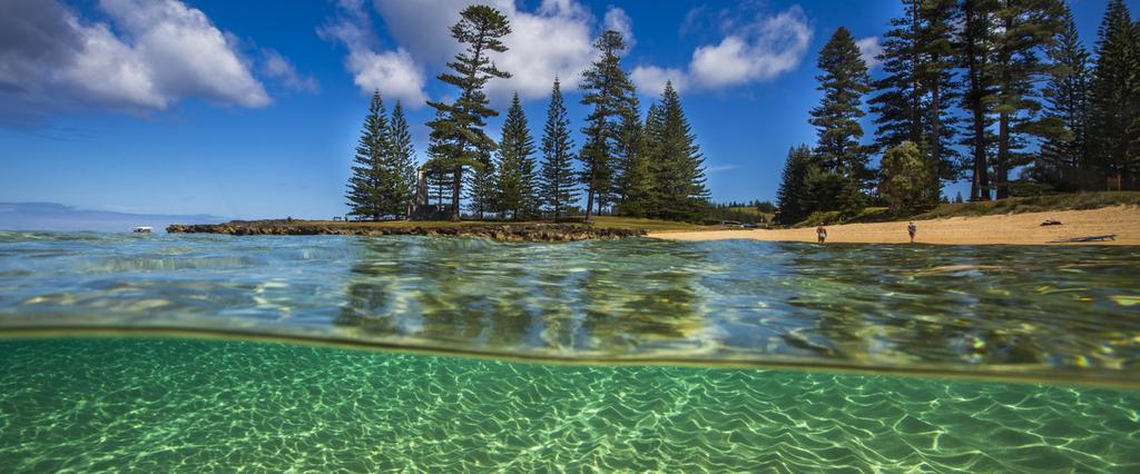 Burnt Pine Travel manages Pier set up and facilities on Norfolk Island as well as transit buses to the town, a 1015 minute drive from either pier.